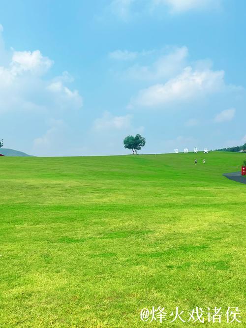 久久青青草原，静享悠然时光